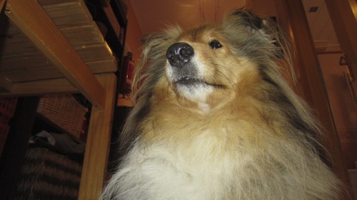 phpfreak98's profile picture.