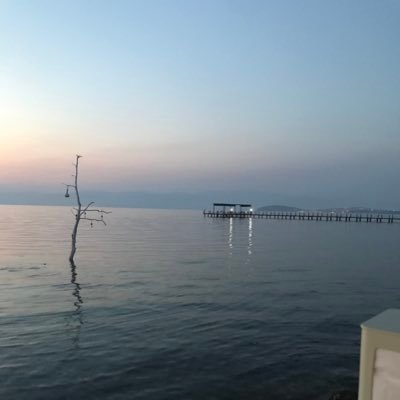 NazlKar27323139's profile picture. 