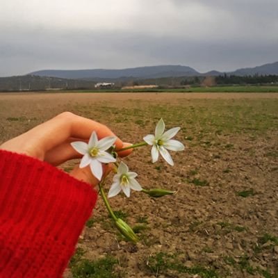 derydmrl8's profile picture. Yolum da, yolculuğumda kendime..