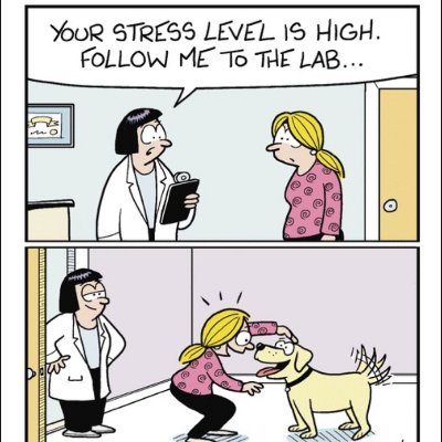 KEHTT's profile picture. 