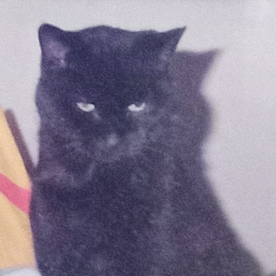 Holland2L's profile picture. One of the oldest in the UK with Beckwith Wiedemann Syndrome. Past President @AbingdonRotary 23/24 and Co-founder of @bwsnetwork loves #heritage #NewStreamer