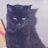 Holland2L's profile image
