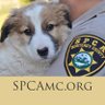 SPCAmc's profile picture. The heart of animal rescue and protection since 1905.