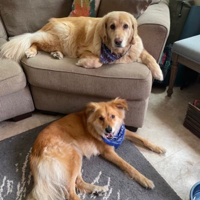 BK4517's profile picture. San Diego native. Entrepreneur