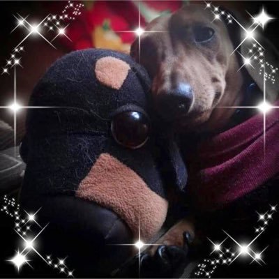 malujim's profile picture. Psicopedagoga.😍😍😍
Detesto los gobiernos oportunistas salidos de la peor escoria y la podredumbre de los partidos políticos.