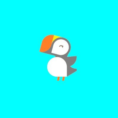 puffinboxd's profile picture. bird time