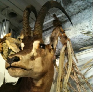 sakae75's profile picture. 洋服屋