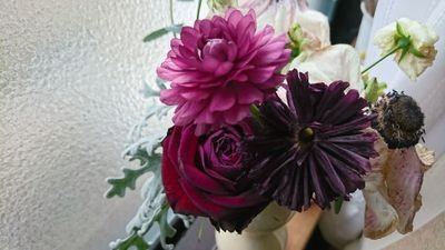 kt_one_'s profile picture. 