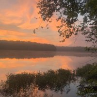 brokesanee (@japdongsanee) 's Twitter Profile