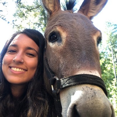 littlez7's profile picture. 曾娜 | UNC Chapel Hill '16 | Kenan Flagler MAC '18 | Tar Heel enthusiast | lover of Jesus and chocolate | married to my best friend