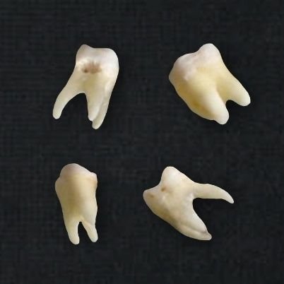 sadistlimerence's profile picture. 🦴🖤🦷surrealist writer🦷🖤🦴
author of the upcoming book 'Sadistic Limerence', 
Marquis de Sade is my literary muse -beware-