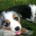 Aaron Grimm - @reapernh - Twitter