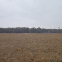 daze (@dazefps) 's Twitter Profile