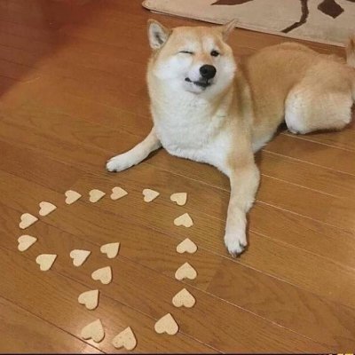 south_gate_2's profile picture. Nobody