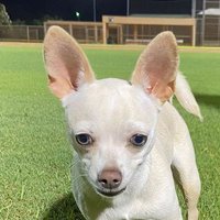 Figgy1m (@figgy1million) 's Twitter Profile Photo Figgy1m (@figgy1million) 's Twitter Profile Photo
