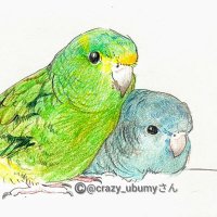 garamon (@garamon306) 's Twitter Profile