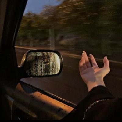 nourelsherbin10's profile picture.