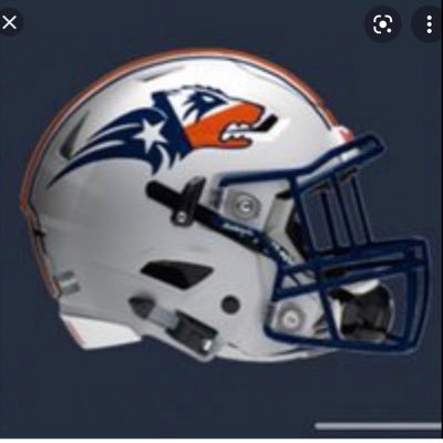 Wakeland Wolverine Football