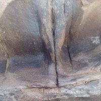 Burak buse (@erz_evli) 's Twitter Profile