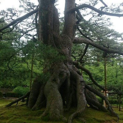 トーゴさんのプロフィール画像