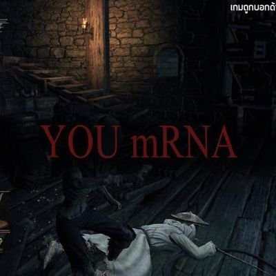 vbdfr123's profile picture. 