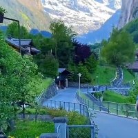 واين (@waynepolygon) 's Twitter Profile