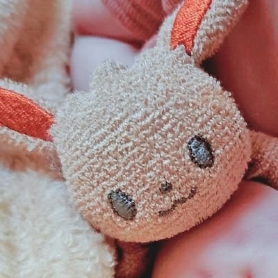 TN.チハルさんのプロフィール画像