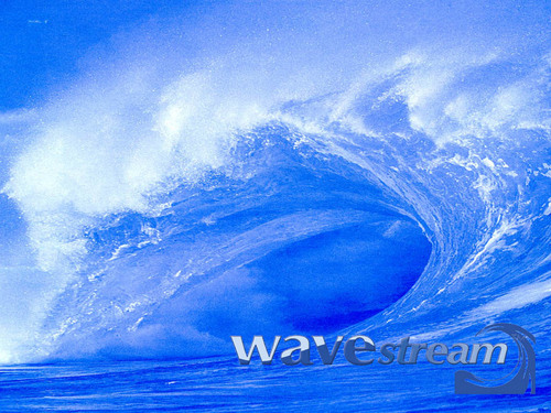 WAVEINTERNATION's profile picture. A new technology company, developed and manufactures the Wavestream™ oil from bilge water system and Wavebrite™ grey water processing unit.