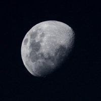 Citizen Science (@deadinlongrun) 's Twitter Profile