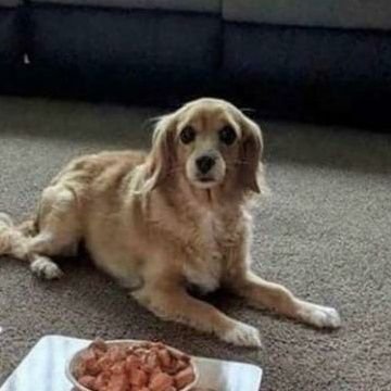 aayiesha1's profile picture. winning