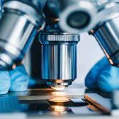 editorialteam4's profile picture. proofreading of research articles , short commentaries ,special issues in related journals