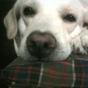 Lea Morales - @LeaMora53024860 - Twitter