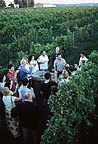 OntarioWineTour's profile picture. We organise specialist tours to Ontario - starting with wine!