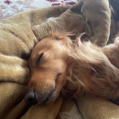 s1QA6SZvhl7cANX's profile picture. マンウィズ好きの高校です。新参者ですが仲良くしてくれるお方などはDMなど待ってます‼️