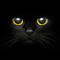 💛 🍀 ᴹᴬᴵᴺᴱᴿ (@oxchoppy_mxelml) 's Twitter Profile Photo 💛 🍀 ᴹᴬᴵᴺᴱᴿ (@oxchoppy_mxelml) 's Twitter Profile Photo