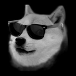 CheckYourSec's profile picture. In Elon we trust.