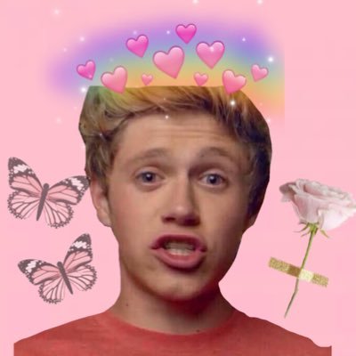 05 大学2回🇫🇷🇯🇵/ONE DIRECTION.Niall Horan🇮🇪/shawn mendes🇨🇦/Sabrina Carpenter/Disney channel/洋画(MARVEL HarryPotter meangirls etc...)気軽にDM待ってます❤️