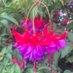 Lorna Allsop (@lornaallsop) Twitter profile photo Lorna Allsop (@lornaallsop) Twitter profile photo