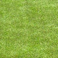 SR (@satyrai) 's Twitter Profile