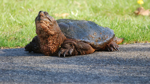 We've had a busy Wednesday. Note to selves: don't try to play frogger on the tarmac.