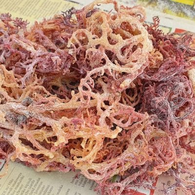 SeaweedCluster Profile