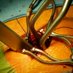 OrthoBizPro (@memstrong) Twitter profile photo