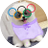 unithaeEbabooya's profile image