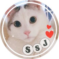 chi.(@chii_0305ssj) 's Twitter Profile Photo