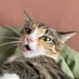 poef account (en ook toet) (@isostictidae) Twitter profile photo poef account (en ook toet) (@isostictidae) Twitter profile photo
