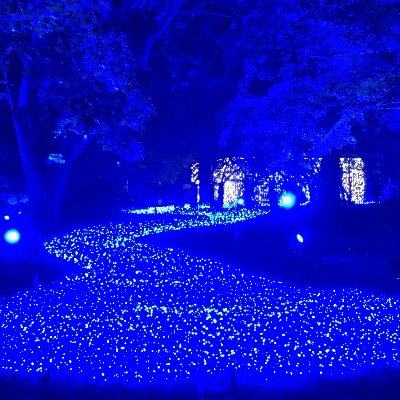 blue00119139's profile picture. ⭐︎チョコプラさん⭐︎お2人の笑顔が大好き⭐︎元気のみなもと⭐︎無言フォロー失礼します！