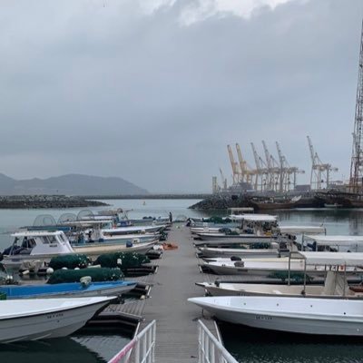 m7biib's profile picture. 