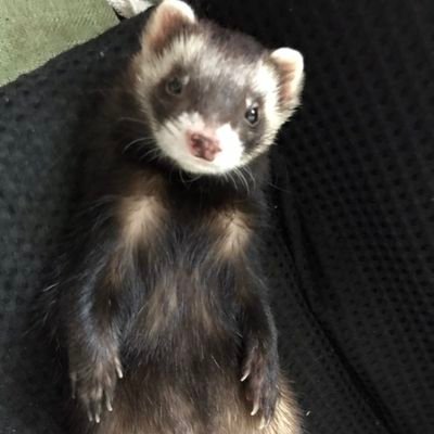 我々だ好きだ♥