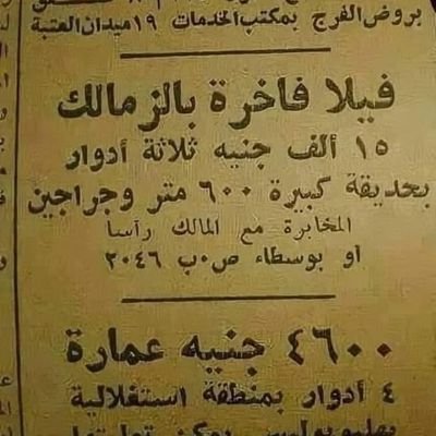 asfourmohamad's profile picture. https://t.co/4sWqKQ9xsn