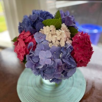 TAPettis's profile picture. 